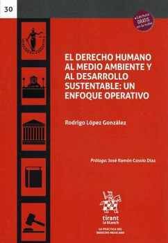 DERECHO HUMANO AL MEDIO AMBIENTE Y AL DESARROLLO SUSTENTABLE, EL