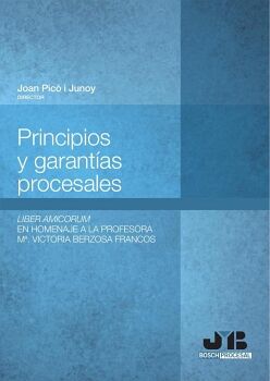 PRINCIPIOS Y GARANTAS PROCESALES.