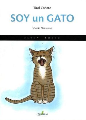 SOY UN GATO