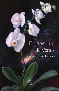 EL LABERINTO DE VENUS