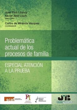 PROBLEM�TICA ACTUAL DE LOS PROCESOS DE FAMILIA.