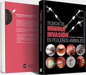 TECNICAS DE MINIMA INVASION EN PEQUE�OS ANIMALES.