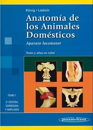 ANATOMA DE LOS ANIMALES DOMSTICOS VOL I  2ED.