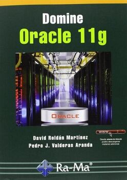 DOMINE ORACLE 11G