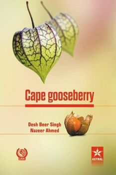 CAPE GOOSEBERRY
