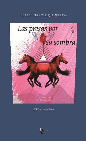 LAS PRESAS POR SU SOMBRA