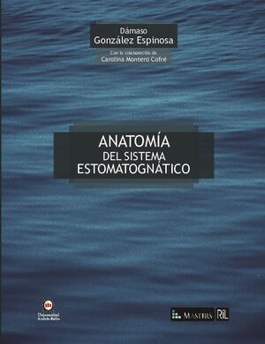 ANATOMA DEL SISTEMA ESTOMATOGNTICO