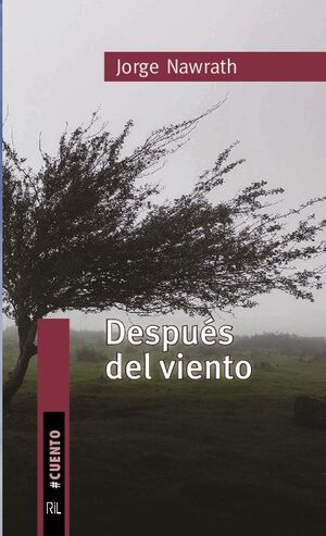 DESPUS DEL VIENTO