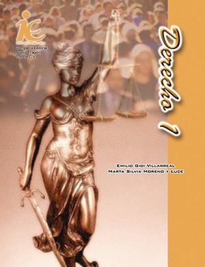 DERECHO 1 IE