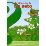 EN EL INTERIOR DE UN SETO