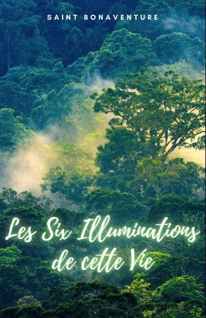 LES SIX ILLUMINATIONS DE CETTE VIE
