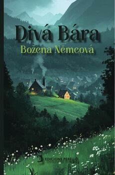 DIV� B�RA