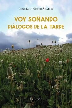 VOY SO�ANDO DI�LOGOS DE LA TARDE
