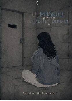 EL PASILLO ENTRE PUERTA Y PUERTA