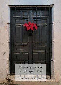 LO QUE PUDO SER Y LO QUE FUE