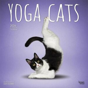 CALENDARIO: YOGA CATS 2026 SQUARE FLAP