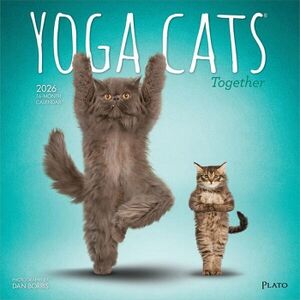 CALENDARIO: YOGA CATS TOGETHER 2026 SQUARE PLATO