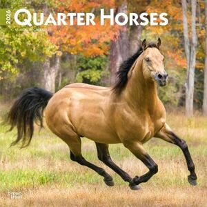 CALENDARIO: QUARTER HORSES 2026 SQUARE FLAP