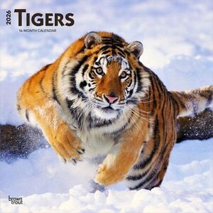CALENDARIO: TIGERS 2026 SQUARE FLAP