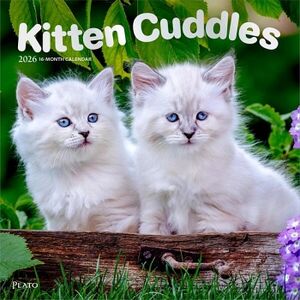 CALENDARIO: KITTEN CUDDLES 2026 SQUARE PLATO FOIL