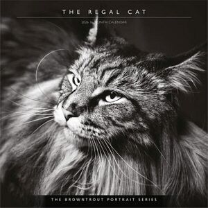 CALENDARIO: CAT, THE REGAL, THE BROWNTROUT PORTRAIT SERIES 2026 SQUARE FLAP