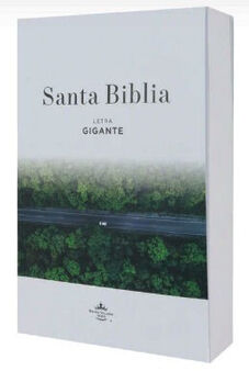 SANTA BIBLIA -CARRETERA- (RUSTICO/LETRA GIGANTE)