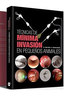 TECNICAS DE MINIMA INVASION EN PEQUEOS ANIMALES.